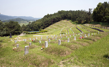 부활동산2